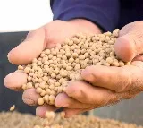 American farmers face tariff ripples on costs, market shifts: Reports