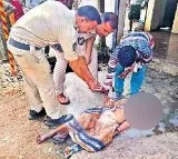 Heartbreaking Incident in Vizianagaram District Old Woman Dies in Bobbili No One Helped