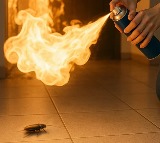 Cockroach Extermination Attempt Leads to Fatal Fire in South Korean Apartment