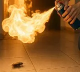 Cockroach Extermination Attempt Leads to Fatal Fire in South Korean Apartment