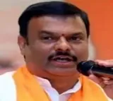 PVN Madhav on Google Green Corridor Project and Jagans Silence