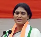YS Sharmila Criticizes AP Government Over Aarogyasri Services Halt