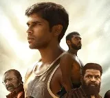 Bison Movie Review