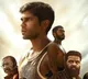Bison Movie Review