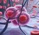 Tiny metal particles show potential in targeting cancer cells: Study