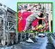 Kurnool Bus Accident Mobile Phones Sparked Fire Tragedy