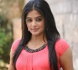 Priyamani hopes borders between film industries disappear