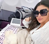 Mouni Roy’s pet dog travels with her in business class