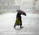 Heavy rain forecast for six TN districts; fishermen warned against venturing into sea