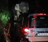 Kabali Elephant Blocks Kerala Highway for 18 Hours