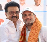 Stalin hails 'Brotherhood' with Rahul Gandhi, reaffirms DMK–Congress alliance ahead of 2026 polls