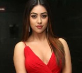 Anu Emmanuel Re enters Telugu Cinema with The Girlfriend