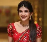 Sreeleela interesting comments on marriage