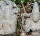 Ancient Chola-era sculptures unearthed near Villupuram village in TN