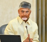 Cyclone Montha: CM Naidu urges NDA MPs, MLAs to stand by people