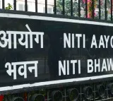 India's services-led growth becoming more balanced, inclusive: NITI Aayog report