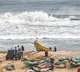 Alert in TN ports as Cyclone ‘Montha’ nears Andhra coast, Chennai, northern TN districts brace for heavy rain