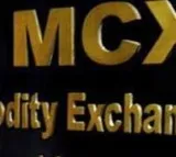 MCX trading halted for over four hours due to technical glitch, probe initiated