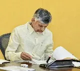 Chandrababu Naidu Reviews District Reorganization in Andhra Pradesh