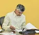 Chandrababu Naidu Reviews District Reorganization in Andhra Pradesh