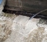 Visakhapatnam Rains Snakes Entering Houses Video