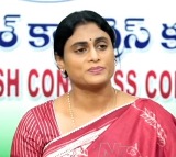 YS Sharmila Directs Congress Leaders to Help Cyclone Victim