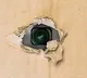 Karimnagar School Secret Cameras Found in Girls Toilet