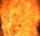 Fire breaks out at SBI's branch in Kolkata