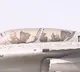 President Murmu takes sortie in Rafale; her second time in a fighter jet