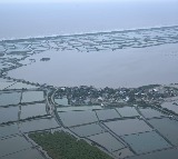 Cyclone damages crops over 2.14 lakh acres, 2,294 km of roads in Andhra