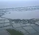 Cyclone damages crops over 2.14 lakh acres, 2,294 km of roads in Andhra