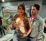 Priyanka Chopra poses with a snake around her neck; Nick Jonas says 'loving the new jewellery'