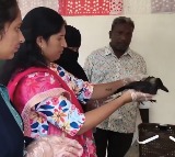 Sheikh Yusuf Family Treats Crow Like Family Member in Nalgonda