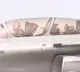 Droupadi Murmu flies in Rafale fighter jet at Ambala Airbase