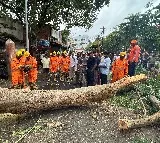 Montha Cyclone Devastation in Andhra Pradesh Two Deaths Reported