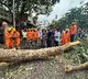 Montha Cyclone Devastation in Andhra Pradesh Two Deaths Reported