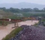 Veligonda Project 200 workers rescued from tunnel flood