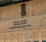 AP High Court Key Comments on Medical College PPPs