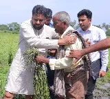 Pawan Kalyan Inspects Damaged Crops in Koderu