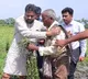 Pawan Kalyan Inspects Damaged Crops in Koderu