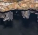 Scientists detect new Covid-like virus from moustached bats in Brazil