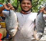 Punjab government declares Rohu as state fish