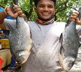 Punjab government declares Rohu as state fish
