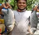 Punjab government declares Rohu as state fish
