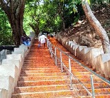 Leopard Spotted on Srivari Mettu Route in Tirumala
