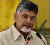 Chandrababu Naidu Addresses TDP Internal Conflicts