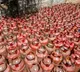 Commercial LPG cylinder prices reduced across metros from November 1
