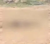 Brutal Murder of Woman in Nizamabad Creates Panic