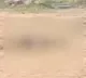 Brutal Murder of Woman in Nizamabad Creates Panic