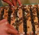 'Sweet Revolution': India becomes world’s 2nd largest honey exporter